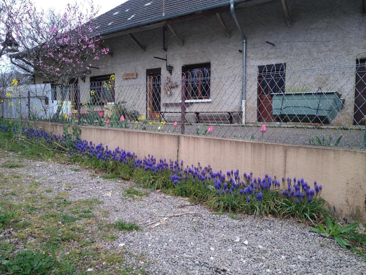 Chez Domi Syl Gite Nature Apartment Colonne Exterior photo