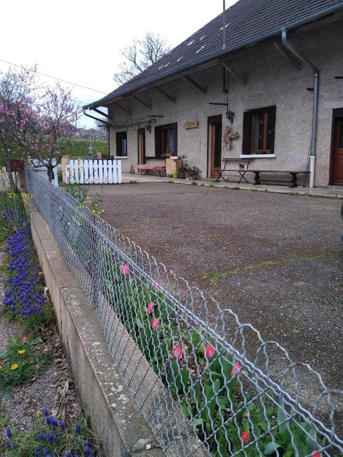 Chez Domi Syl Gite Nature Apartment Colonne Exterior photo